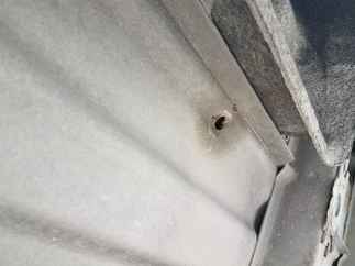 Used Truck Bed only 2015 Chevy/GMC 2500 6.5 ft OEM Short Bed Single Rear Wheel